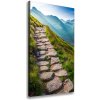 Vertikálny foto obraz canvas Horský chodník 50x100 cm