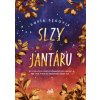 Slzy z jantáru - Sofía Segovia