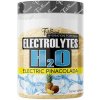 Electrolytes H2O - FitBoom 500 g Electric Kiwi