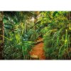 Komar Papierová fototapeta Jungle Trail, 368 x 254 cm