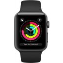 Inteligentné hodinky Apple Watch Series 3 42mm