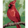 Zuty – Maľovanie Podľa Čísel – Červený VtáčIk (Myroslava Voloschuk), 40 × 50 cm, Plátno + Rám 8596530221975
