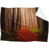 Deka Les na jeseň (Rozmer: 150 x 120 cm, Podšitie baránkom: ÁNO)