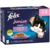 Felix FANTASTIC JUNIOR Multipack mix v želé 12x85g