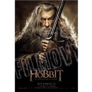 Filmové BLU RAY MAGIC BOX, A.S. Hobit: Šmakova dračí poušť 4 (3D+2D) BD