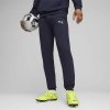 Puma Team Goal Casuals M 658598 06 pants