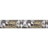 Samolepiaca bordúra Orchidea BO5021 5,3cmx5m