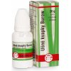 Burow ušná instilácia Vulm int.oto. 1x 20 g