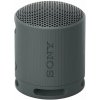 Sony SRS-XB100 Black Prenosný reproduktor