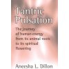 Tantric Pulsation