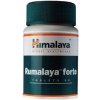 Himalaya Rumalaya Forte 60 tabliet
