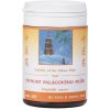 PEVNOSŤ PALÁCOVÉHO PILIERA - DU HUO JI SHENG WAN - TCM Herbs Objem: 100 tabliet / 30 g