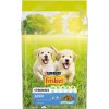 Friskies Junior s kuracím 8 kg