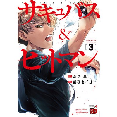 Succubus and Hitman Vol. 3 Fukami Makoto
