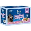 BRIT - Kapsičky BRIT Premium Cat Delicate Fillets in Gravy Family Plate Sterilised 12 x 85 g