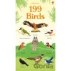 199 Birds - Hannah Watson, Mar Ferraro (ilustrácie), Nikki Dyson (ilustrácie)