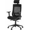 Kancelárske kreslo HOMEPRO Janika čierne (KA-W002BK)