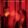 Gabriel Peter - In The Big Room / 2CD [2 CD]