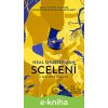 E-kniha Scelení - Neal Shusterman