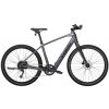 Trek Dual Sport+ 2 - Galactic Grey XL
