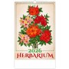 Kalendár nástenný 2026 - Herbarium
