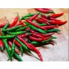 Paprika štipľavá semená 0,5 g