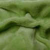 EU Posteľné prestieradlo Mikroflanel zelená kiwi, Mikroflanel, 180x200x20cm, Zelená kiwi