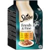 Výhodné balenie 72 x 50 g Sheba Fresh & Fine - kuracie, morčacie a kačacie v omáčke