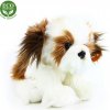 Rappa pes shih tzu sediaci 28 cm