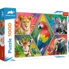 Trefl Puzzle 1000 - Exotické zvieratá
