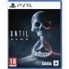Until Dawn