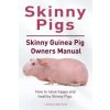 Skinny Pig. Skinny Guinea Pigs Owners Manual. How to raise happy and healthy Skinny Pigs. (LUDWIG LEDGERWOOD)()