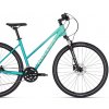 Kellys Pheebe 50 2024