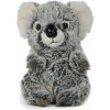 Plyšová Hračka Medvedík Koala Baby - 18cm