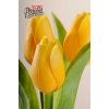 Kristian Samson Tulipán kus 40cm svetlo žltý 107 Y1 - Umelé kvety