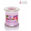 Parafínová vonná sviečka Berries Ice Cream Yankee Candle