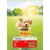 Friskies ACTIVE Pes Gran Mäso 3 kg
