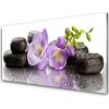 Obraz plexi Kvet kamene umenie 100x50 cm