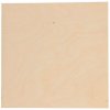 ČistéDrevo Brezová preglejka (B/BB) - 6 x 500 x 500 mm
