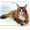 Život s diabetickou mačkou - Anna Vanátová