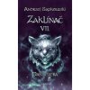 Zaklínač - Paní jezera (brožovaná) - Andrzej Sapkowski