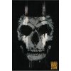 Plagát, Obraz - Call of Duty - Mask, 61 × 91.5 cm