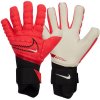 Nike Phantom Elite Goalkeeper CN6724-636 goalkeeper gloves (190803) Black 10