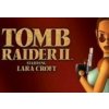 Tomb Raider II Steam CD Key