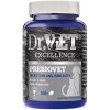 Dr.VET Excellence PREBIOVET pre zdravú črevnú mikroflóru 100 tabliet