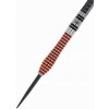 Winmau Steel Dennis Priestley S.E. - 24g