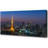 Foto obraz na plátne Veža v Tokio 100x50 cm