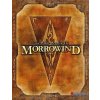 The Elder Scrolls 3: Morrowind GOTY