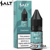 SALT Brew Co Cool Mint 10ml 20mg e-liquid