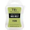 WoodWick vonný vosk do aróma lampy Fern Papraď 22,7 g